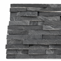 Revêtement mural extérieur en ardoise noire mince, surface fendue, design minimaliste, durable
