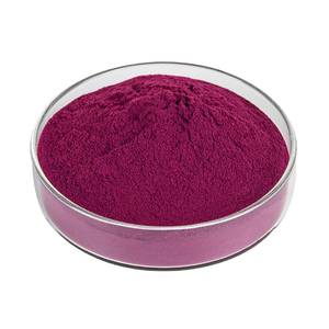 Оптовая продажа, Настраиваемые антоцианы, фруктовый ароматизированный порошок, экстракт черники, порошок для нутрицевтиков - Product Image 3