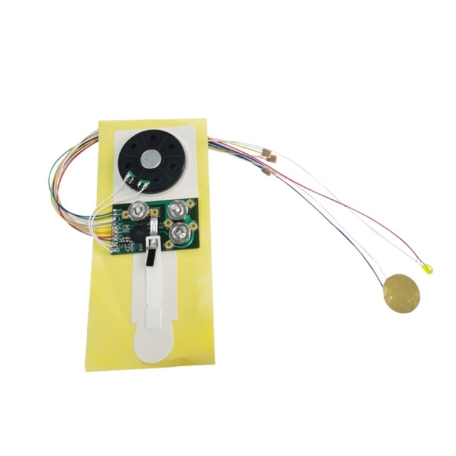 China Wholesale OEM Programmable LED Light Greeting Card Sound Module Customized Digital Music Chip with DC Input Speaker Type