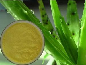 <span class=keywords><strong>Aloe</strong></span> <span class=keywords><strong>Barbadensis</strong></span> Leaf Juice Aloin/Emodin <span class=keywords><strong>Aloe</strong></span> <span class=keywords><strong>Vera</strong></span> Gel liofilizado extrato em pó - Product Image 2