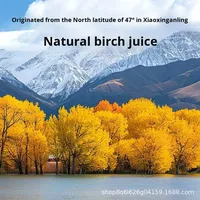 Boissons végétales naturelles stérilisées à faible teneur en gras à base de racine entière de bouleau de la montagne de Changbai, en bouteille de verre, en vrac, pour importateurs mondiaux