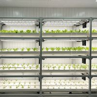 Système de culture aéroponique intégré en conteneur de 20 pieds ou 40 pieds, équipement de serre intelligente pour l'intérieur, pour la culture à grande échelle de légumes-feuilles