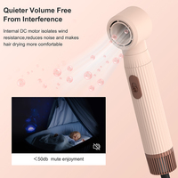 5 en 1 Styler Peigne à Air Chaud Volumiseur Sèche-Cheveux Brosse avec Styler Amovible pour Lisser Curling Séchage Peignage