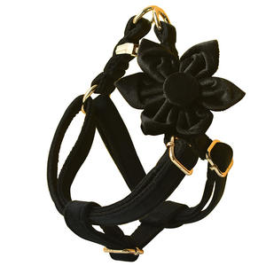 卸売りカスタムプリントシンプルソフトパッド入り高級犬アクセサリー子犬ベストカラーペットハーネスBowtie Leash Dog Walking - Product Image 5