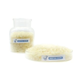 Miscela Istantanea per Gelatina Glum per Gelatine Fatte in Casa Veloci e Facili - Product Image 1