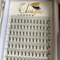 Vente chaude Premade Volume Ventilateurs 7D 8D 9D 10D Coréen PBT Fibre Cils Magnifique Mega Volume Lashes