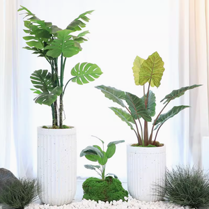 <span class=keywords><strong>Cilindro</strong></span> alto de rayas redondas para interiores/exteriores estilo romano de suelo a techo grande Wabi-Sabi terrazo crema viento magnesia olla - Product Image 6