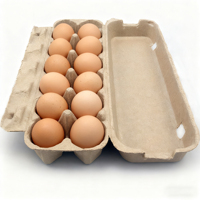 Cartons et boîtes à œufs de haute qualité, écologiques, en pulpe renouvelable, biodégradables, 12 unités, personnalisables, recyclables, fabriqués en Chine