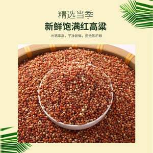 <span class=keywords><strong>Kaoliang</strong></span>-Sachet graines de riz, pigeon et nourriture pour animaux domestiques - Product Image 4