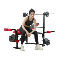 Banc de musculation en métal pour la musculation, les sit-ups et les exercices des jambes