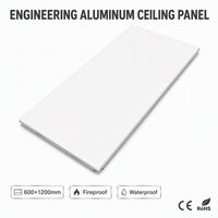 Panneaux décoratifs en aluminium 60x1200, dalles de plafond suspendu acoustiques, panneaux clipsables pour les halls d'hôtels