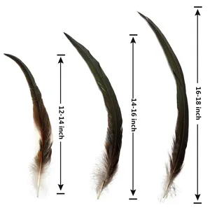 Bulk Natural 12-14-16-18Inch Rooster Coque Tail Feathers For Craft Wedding Party Hats Costume Performances DIY Decoration