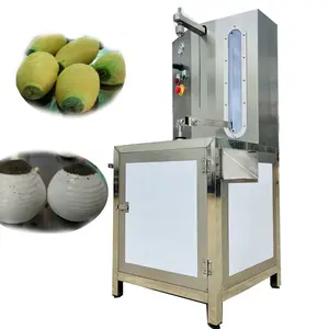 Descascador de abacaxi totalmente automático, máquina de descascar de abacaxi, jackfrutas, melão