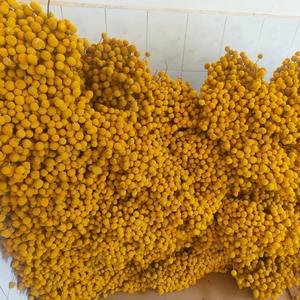 Arreglos de Craspedia Globosa Seca Natural a Granel, Flores Secas Decorativas Doradas Billy Ball Preservadas - Product Image 5