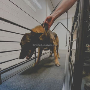 Chó lớn Máy chạy bộ vật nuôi đào tạo cung cấp cho đào tạo người bạn lông của bạn để chạy nhanh hơn và khỏe mạnh hơn - Product Image 6