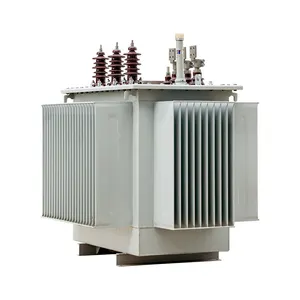 160KVA 11KV 변압기를 S-M 특별 주문 가능 3 상 오일 침수 전력 변압기