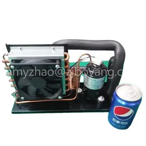 rotary compact 24v refrigerator compressor unit