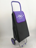 Chariots de courses pliables pour enfants, sacs de courses bon marché pour supermarchés, colorés