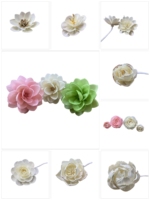 4.5cm 6cm Parfum Coloré Reed Diffuseur Fleur Bâton À La Main Sola Bois Fleur