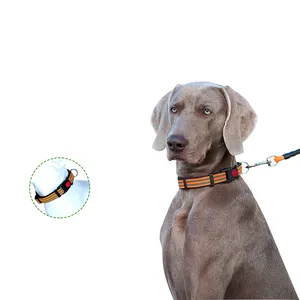 Groothandel Lage Prijs Nylon Verstelbare Outdoor Veiligheidsvergrendeling Pet Kragen Geschikt Voor Kleine Middelgrote Honden Halsband