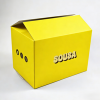 Caja de Cartón Reutilizable Grande y Resistente, Ecológica, para Embalaje de Transporte, con Logotipo Personalizado e Impresión a Color