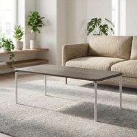 Table basse de grande taille pour salle d'attente de bureau, en panneau de particules de classe E0, avec structure métallique résistante à l'usure, modulaire, multi-scénarios, table d'appoint
