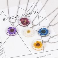 Fleur de marguerite séchée naturelle, emballage sous vide, fleur pressée pour la décoration de la maison en résine, la fabrication de bijoux, la décoration de coques de téléphone