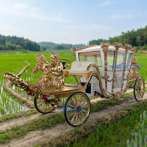 Fabricant de carrosses de mariage électriques dorés de luxe pour chevaux, vente en gros - Product Image 1