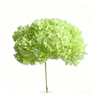 Decoração Floral para Casamento, Centro de Mesa com Hortênsias Reais, Flores Preservadas para Decoração de Festas e Eventos - Product Image 4