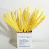 Herbe de la Pampa Séchée Naturelle Style Bohème pour Décoration de Mariage, Maison, Saint-Valentin, Noël – Écologique et Longue Durée