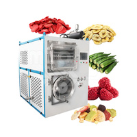 MY China Food Fraise Lyophilise Machine 5kg Chocolat Moyen Lyophilisateur sous vide pour usage domestique