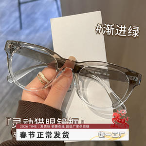 Monturas de gafas Danyang Cat Eye 8053 con montura completa, lentes de PC con protección contra la luz azul para mujer - Product Image 5