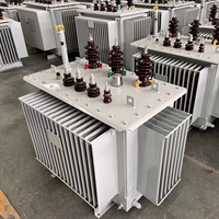 Transformateur de régulation de tension immergé dans l'huile à trois phases, tension de sortie réglable, 50/60Hz, certifié ISO CE pour laboratoire