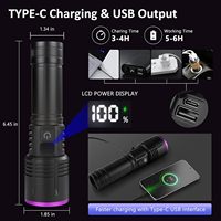Lampe torche UV LED 365nm haute puissance, étanche, rechargeable USB-C, en aluminium, pour la détection d'urine d'animaux et de scorpions, 15 ans d'expérience en usine