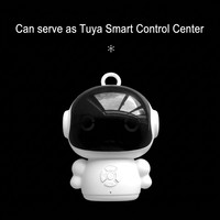 AI YUN DeepSeek GTP: Robot AI Intelligente per Dialogo, Compagno di Chat, Altoparlante WIFI, Macchina per l'Apprendimento, Materiale Plastico, GPT Spark