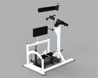 Équipement de musculation commercial, entraîneur dorsal, développeur de chaîne postérieure, machine à dos, machine de musculation pour salle de sport