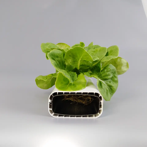 <span class=keywords><strong>Tubo</strong></span> cuadrado hidropónico <span class=keywords><strong>de</strong></span> <span class=keywords><strong>PVC</strong></span> verde grande <span class=keywords><strong>de</strong></span> 2,0mm <span class=keywords><strong>de</strong></span> espesor, hoja <span class=keywords><strong>de</strong></span> vidrio <span class=keywords><strong>de</strong></span> una sola PC para pequeños invernaderos agrícolas - Product Image 3