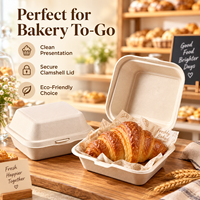 Trendz Boîte à lunch jetable personnalisée Bento canne à sucre bagasse à clapet Boîte à lunch biodégradable Croissant gâteau Burger Conteneur alimentaire