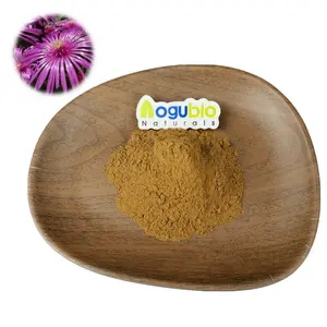 纯天然康纳提取物粉优质康纳提取物粉100:1松叶菊花提取物