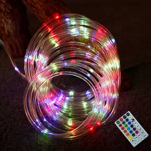 Rope Lights Outdoor Color Changing 100 LED Waterproof String Light Remote 16 Colors Fairy Light for Indoor Party Wedding Holiday