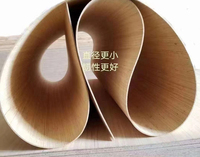 Panneau de contreplaqué flexible écologique de première qualité de 5 mm pour pièces de chaise