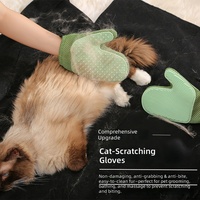 Gant de massage double face pour enlever les poils d'animaux, pour chats et chiens, outil de toilettage réutilisable