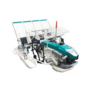 Trasplantadora de Arroz a Gasolina, Tipo Caminante, de 4 y 6 Filas, Máquina para Plantar Arroz - Product Image 1