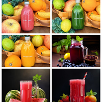 Extracteur de jus industriel à vis pour fruits légumes mangue citron ananas gingembre pomme orange pour carotte tomate