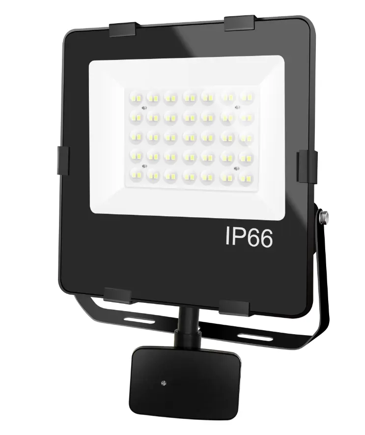 IP66 Waterproof Outdoor Lighting 10W 50W/100W 200W PIR flood light floodlight sport stadium light