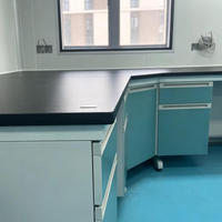 Meubles de laboratoire résistants à la corrosion, tailles personnalisées, avec armoire de rangement pour laboratoire
