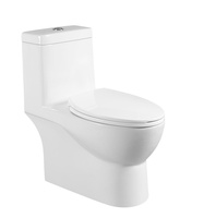 Articles sanitaires de luxe Toilette monobloc en céramique Salle de bain Wc Lavage au sol Ensemble de cuvette de toilette