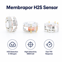 Module de capteur de gaz H2S, conception personnalisée, calibrage de précision, sortie pour diverses marques de capteurs, module de capteur de sulfure d'hydrogène OEM