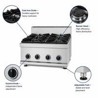 Cuisinière à gaz commerciale pour équipement de restauration, en acier inoxydable, pour pot en terre cuite, puissance 14,2 kW, cuisine cantonaise