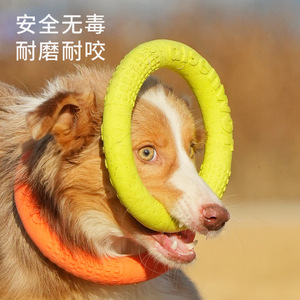 Jouet pour chien en forme d'anneau, en mousse TPR, résistant aux morsures, pour l'entraînement des chiens de petite et moyenne taille, jeu en plein air - Product Image 2